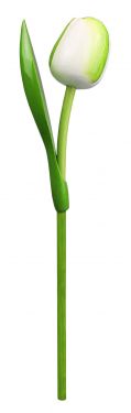 Tulp Op Steel 820 Souvenir 34cm Kl.0908 (Wit/Groen)