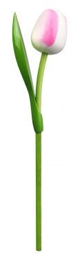 Tulp Op Steel 820 Souvenir 34cm Kl.0912 (Wit/Roze)