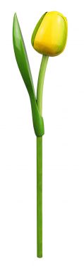 Tulp Op Steel 820 Souvenir 34cm Kl.1108 (Geel/Groen)