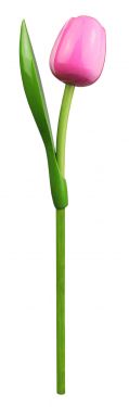 Tulp Op Steel 820 Souvenir 34cm Kl.1209 (Roze/Wit)